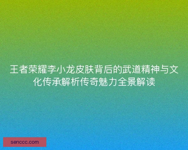 王者荣耀李小龙皮肤背后的武道精神与文化传承解析传奇魅力全景解读