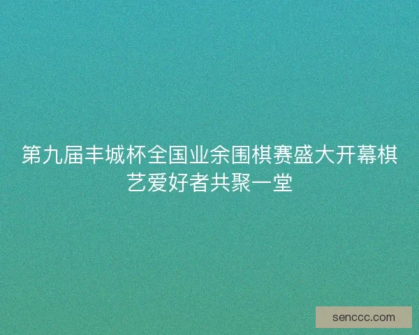第九届丰城杯全国业余围棋赛盛大开幕棋艺爱好者共聚一堂